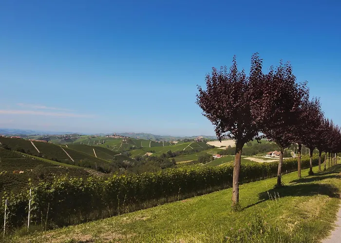 Apartment Casa Di Pina - Iris - Dalia Monforte dʼAlba